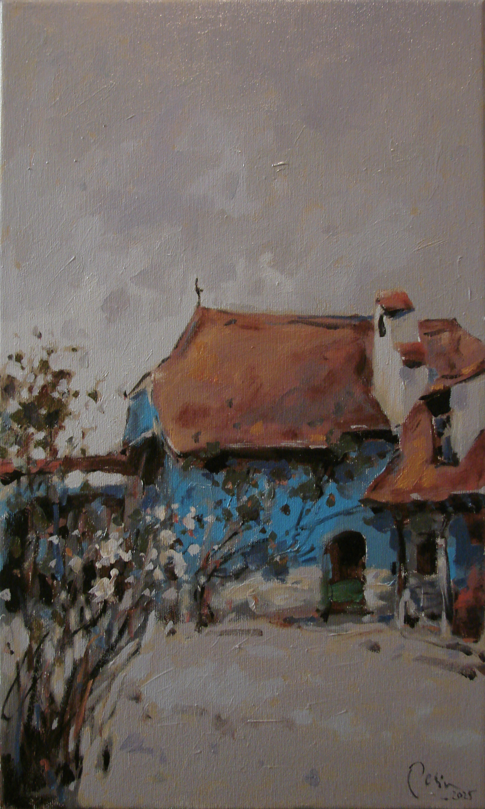 King Charles' house in Viscri